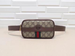 519308 96IWS 8745】 GUCCI グッチ オフィディア バッグ スーパー